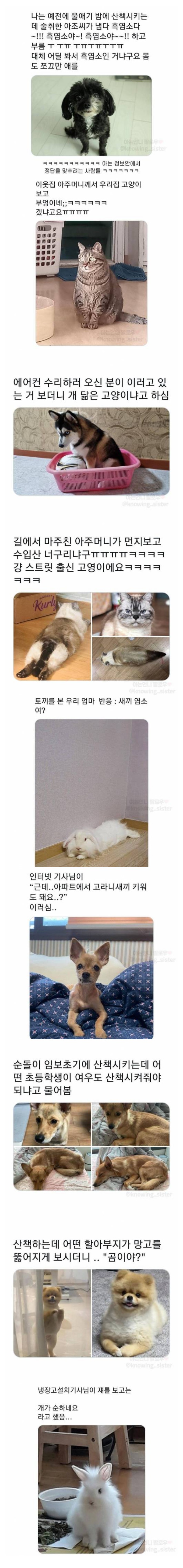 눈에 보이는 대로 부르는 어른들