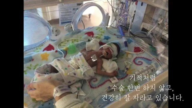 pic_031.jpg 임신 26주차, 미국에서 직장암 판정을 받고 한국에 왔습니다