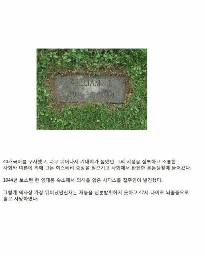  아이큐 300 천재의 삶