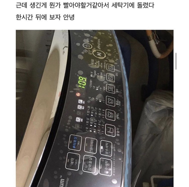 청바지에서 퍼런 물이 빠졌다