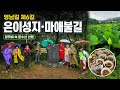 첨부 이미지