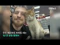 첨부 이미지