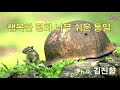 첨부 이미지