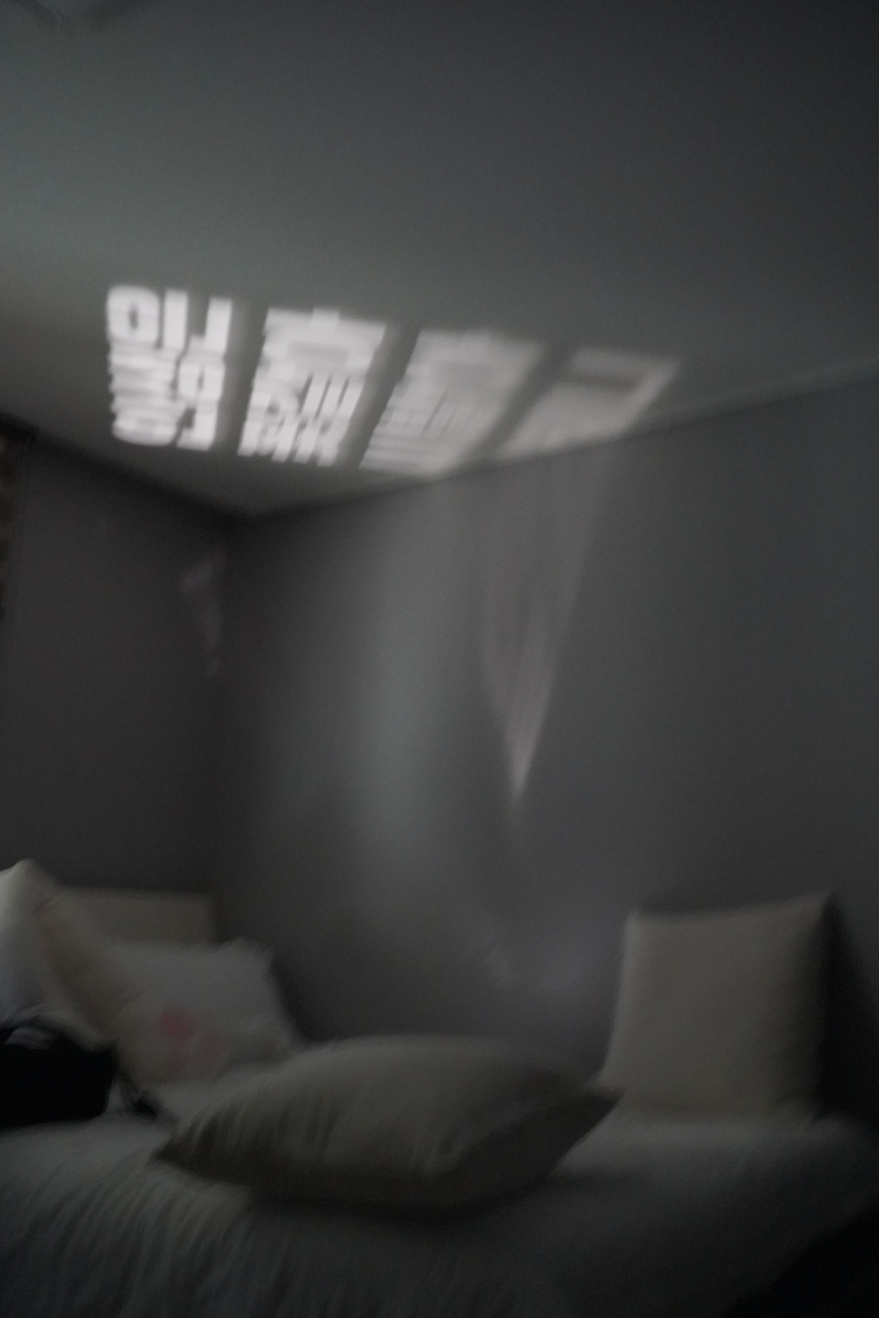 dP1Txz7lUKZ3rzW1LISB9t79DRg.jpg