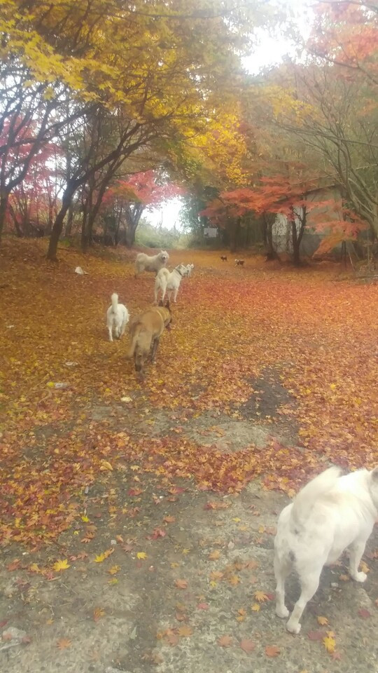 겨울이 시작될 무렵 내리는 가을비