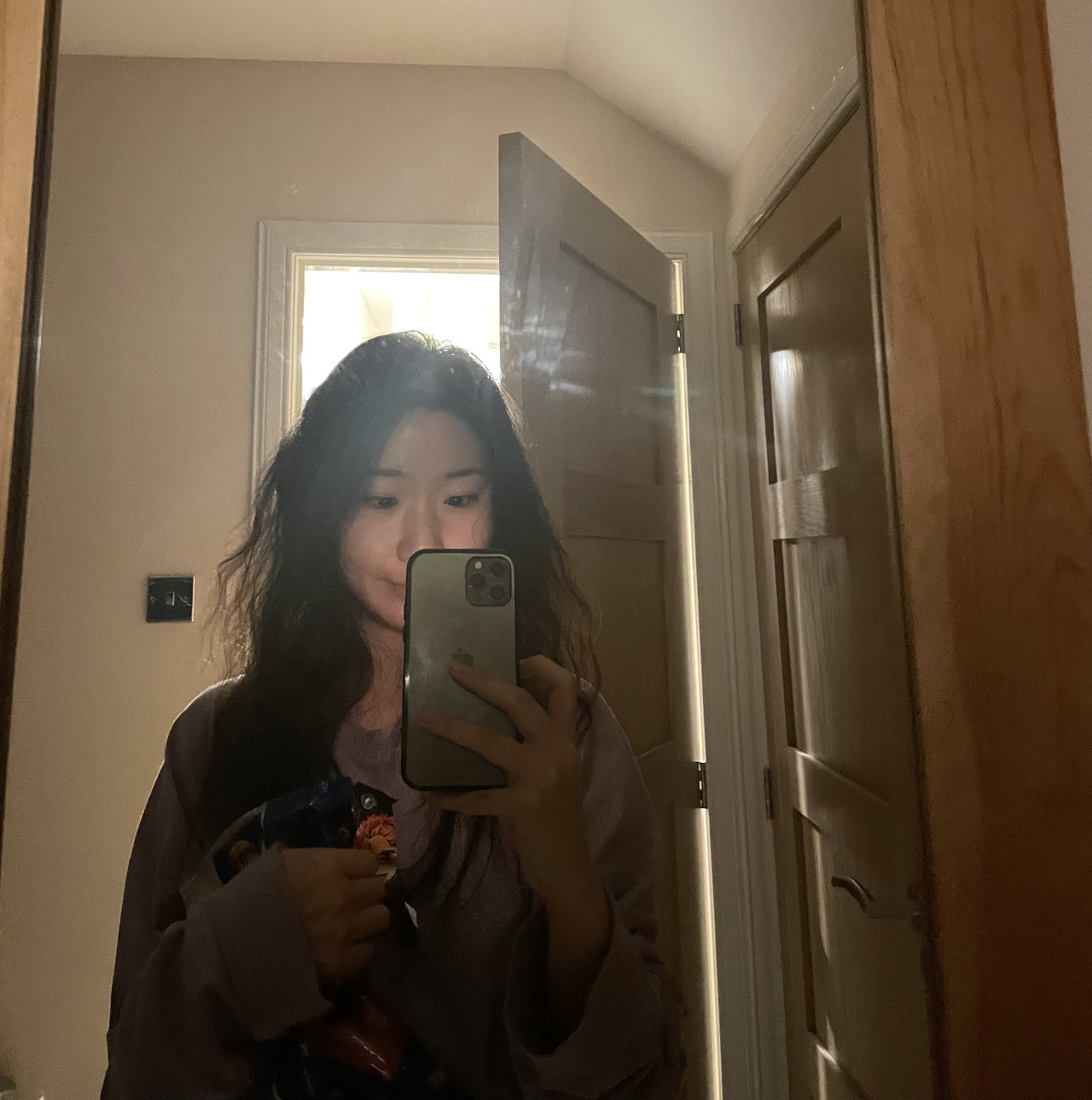 스카이진 이미지