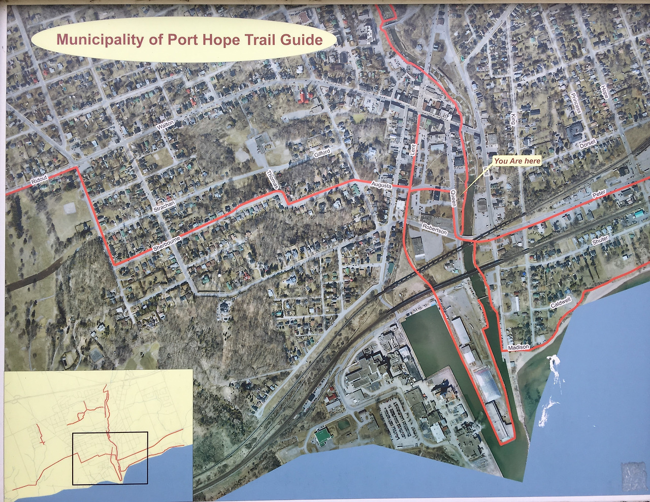 강물을 거슬러 올라가는 연어들처럼