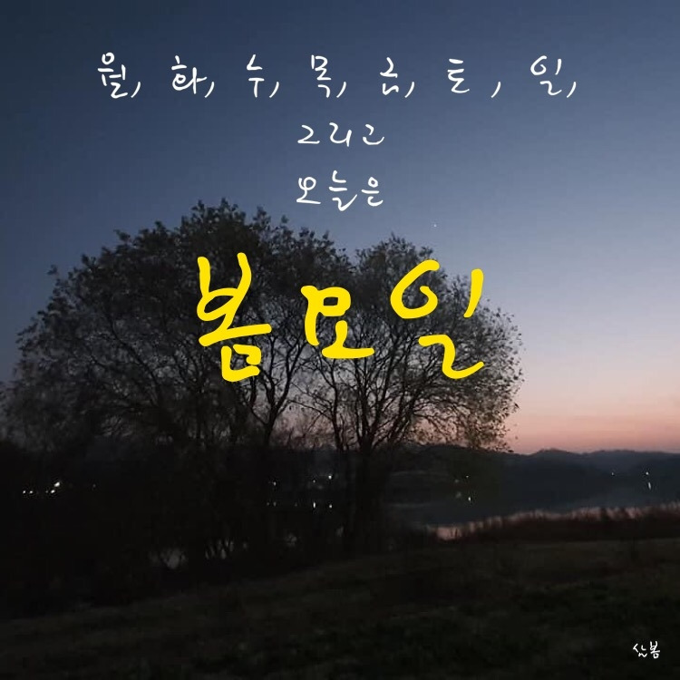 아직도 봄방학, 오늘은 봄요일