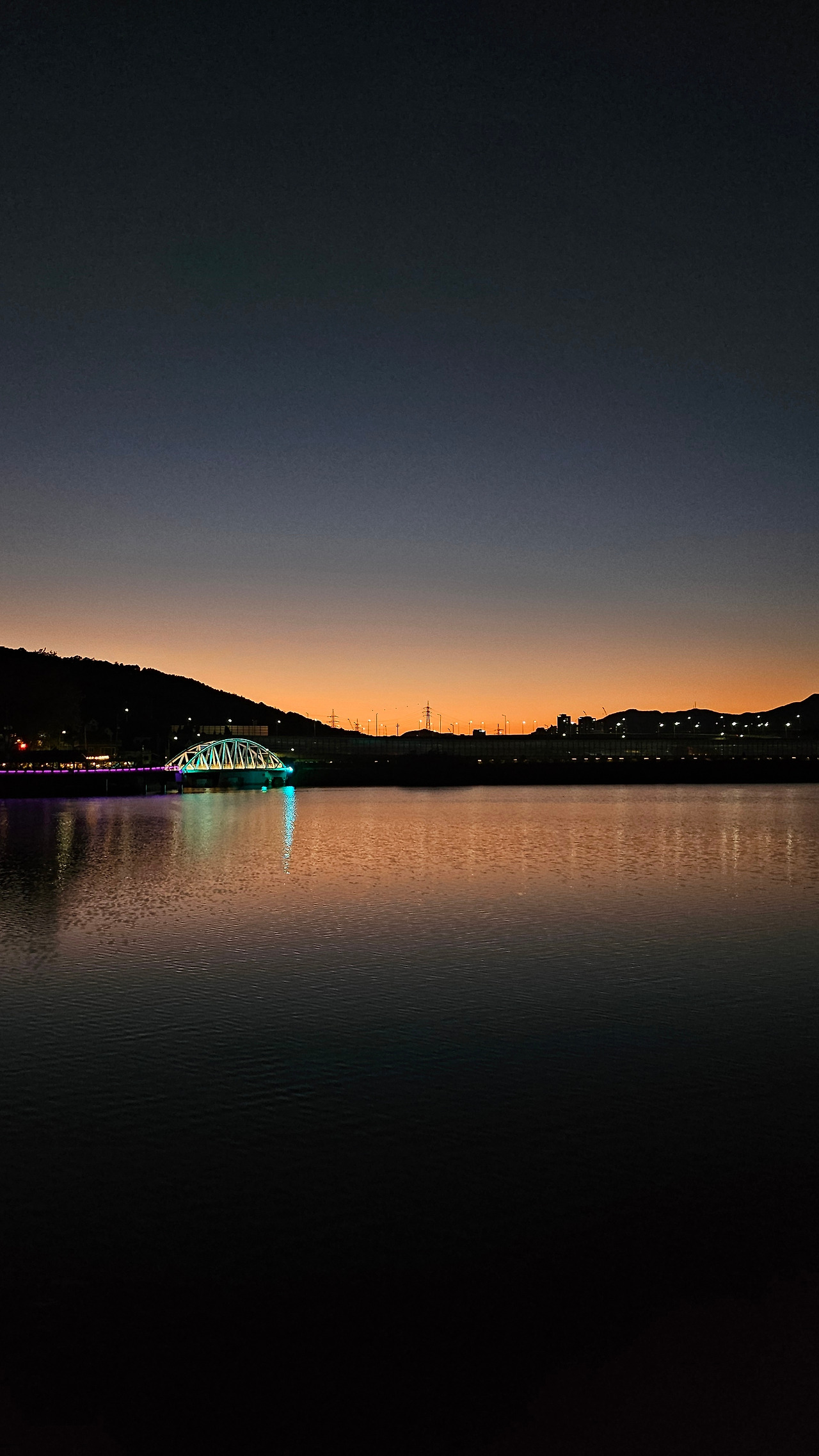 A dog that runs every day - News Directory 3