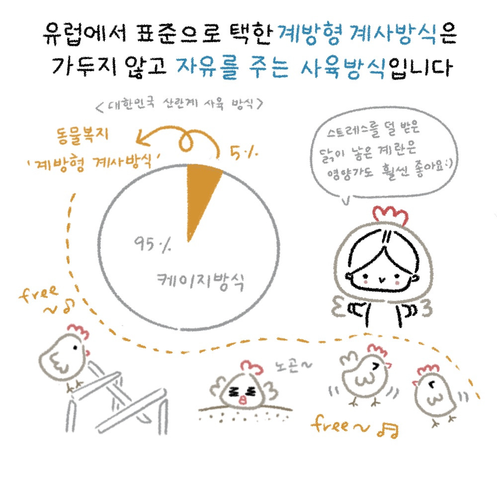 공장식축산-2