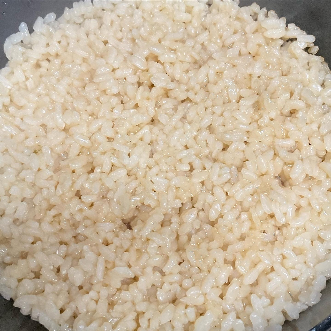 금태 솥밥