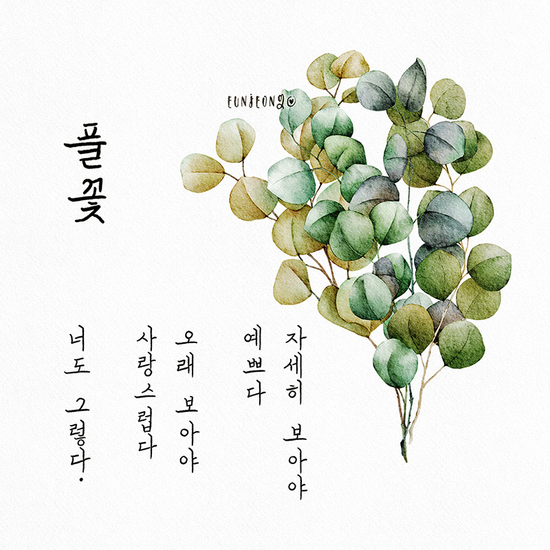 풀꽃 - 나태주