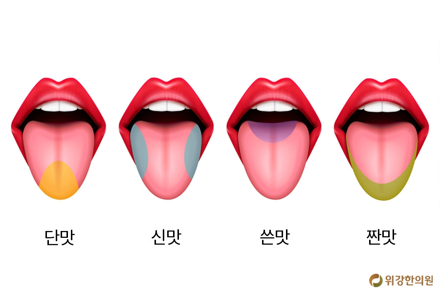미각상실, 맛을 못 느끼는 질병이 무서운 까닭은?