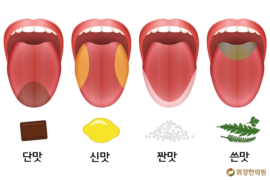 미각상실 구강질환 치료하면 돌아온다!