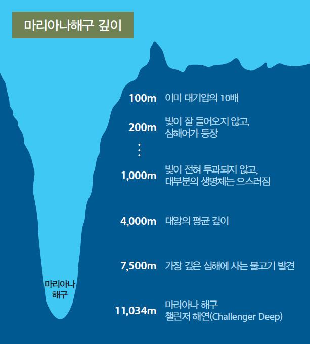 세계에서 가장 깊은 해구