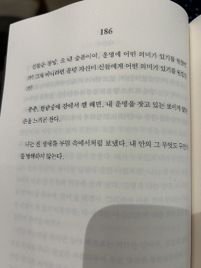 06화 불안의 서 오마카세