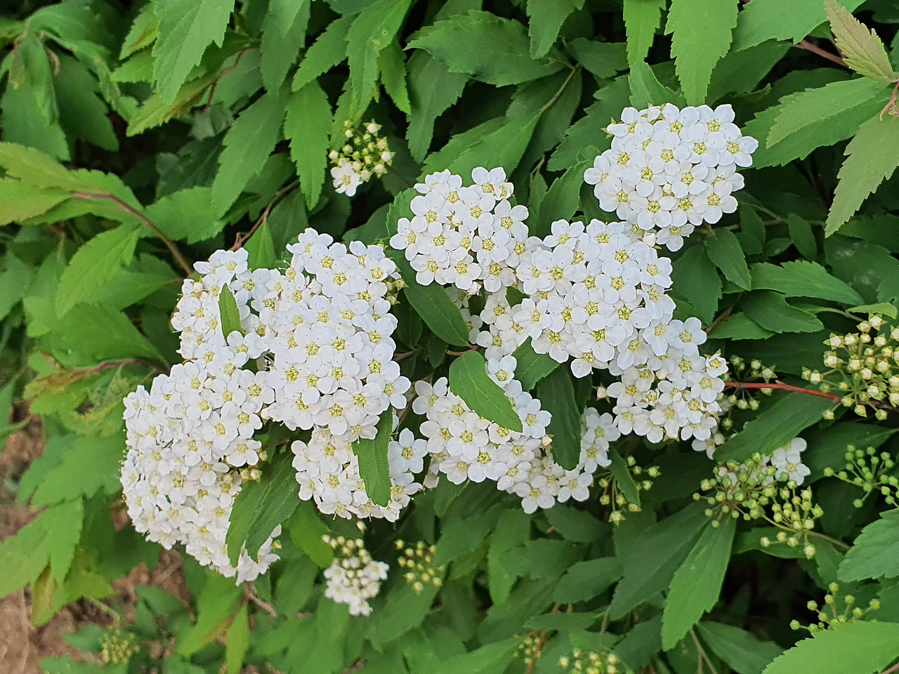 06화 이제 알았어요.