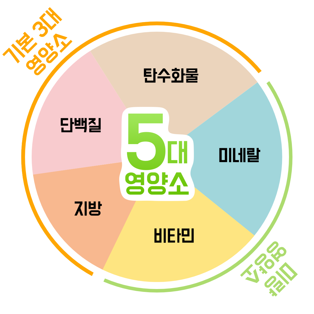 01화 꼭 알아야 할 영양소 : 탄수화물, 단백질, 지방.