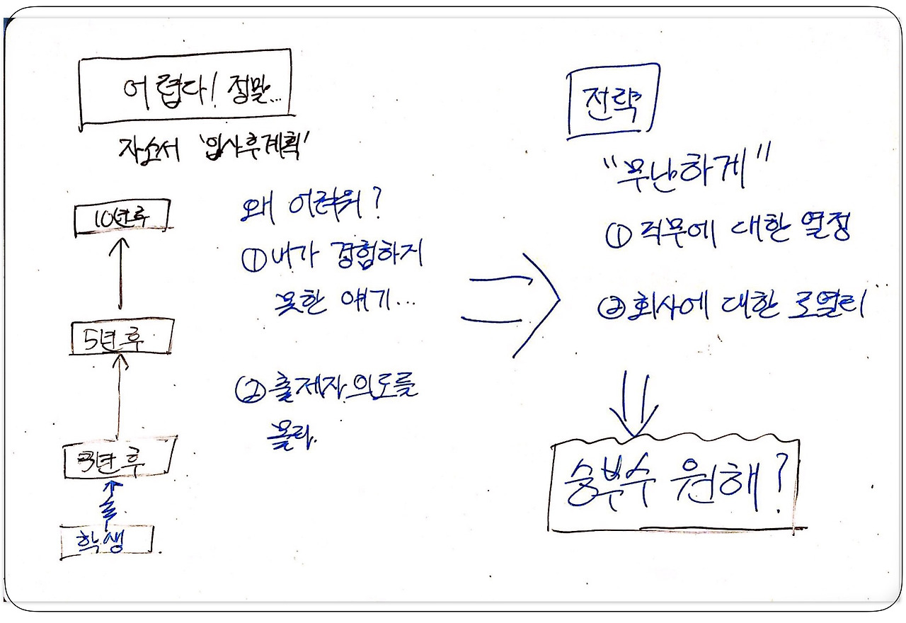 인사담당자가 말하는 자소서 '입사후 계획' 꿀팁! - 20대에게 가장 필요한 커리어 정보, 슈퍼루키