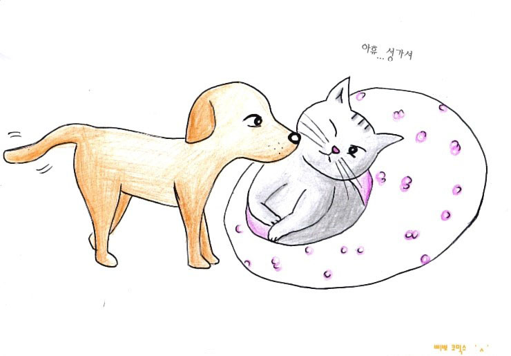 당신은 개, 나는 고양이