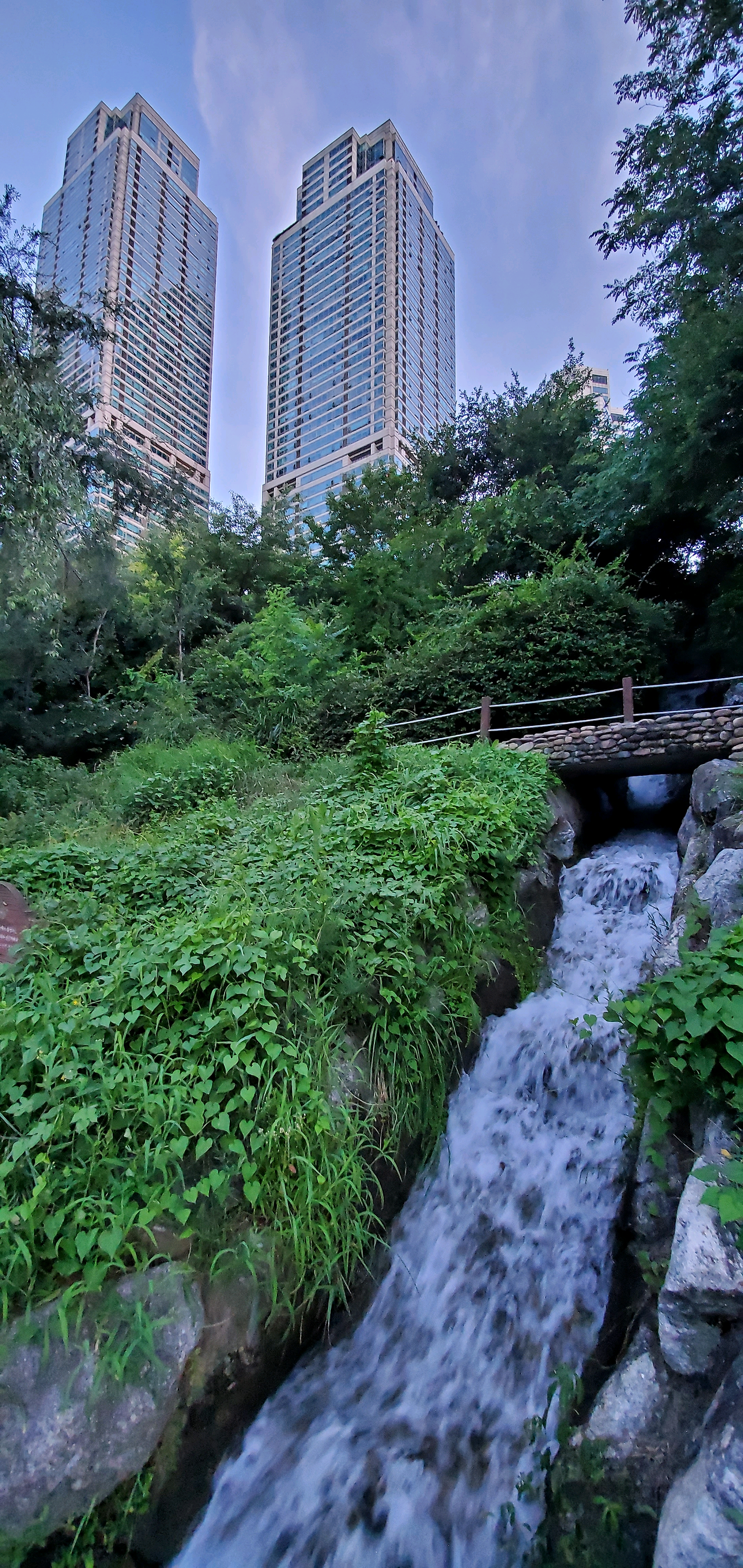 팔월의 서울 - 산책 팔월의 서울  - 산책