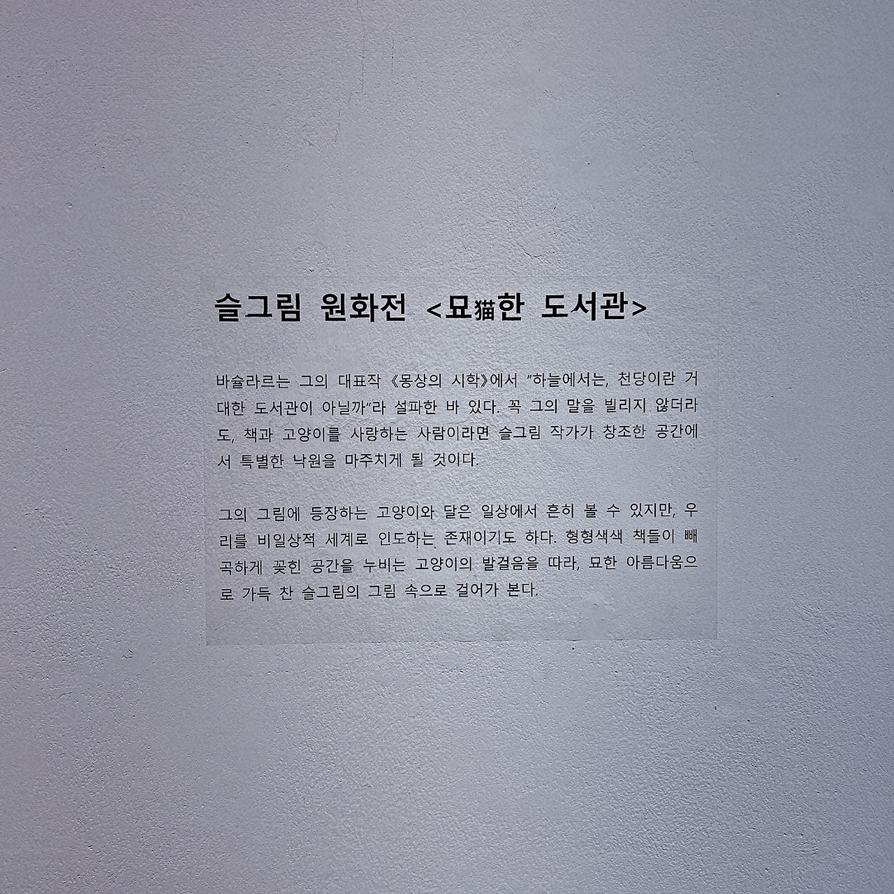 묘(猫)한 도서관에 어서 오세요