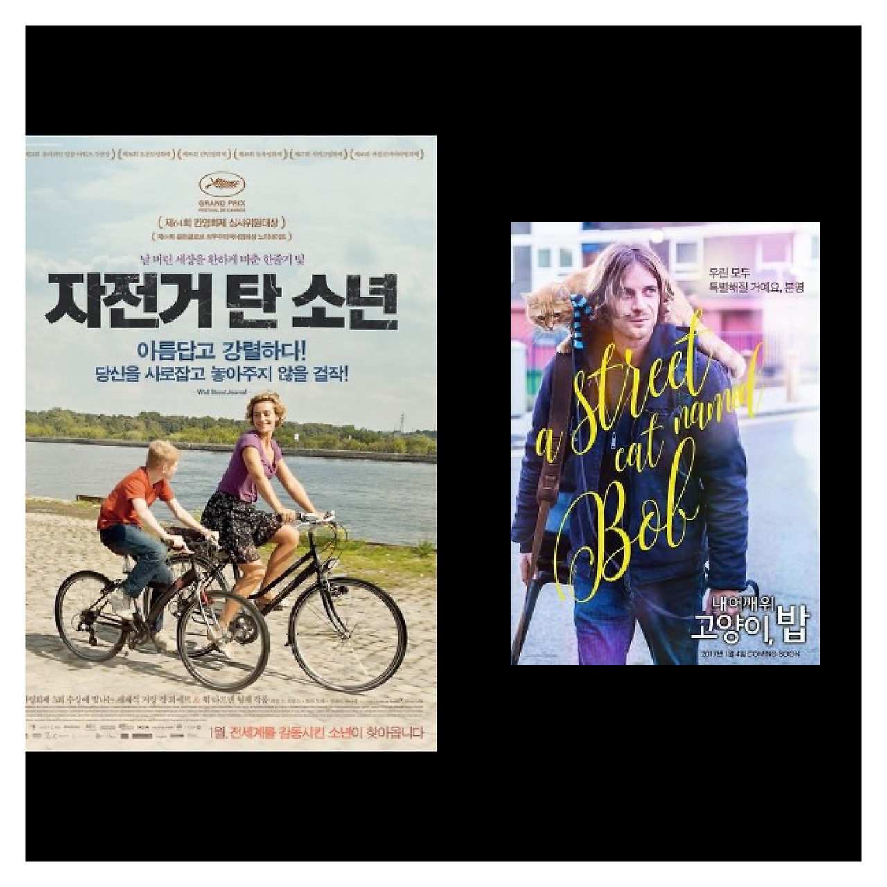 세실 드 프랑스 자전거 탄 소년