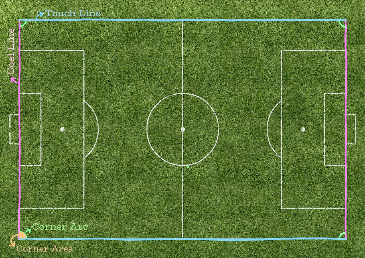 터치라인(Touch line) 이미지