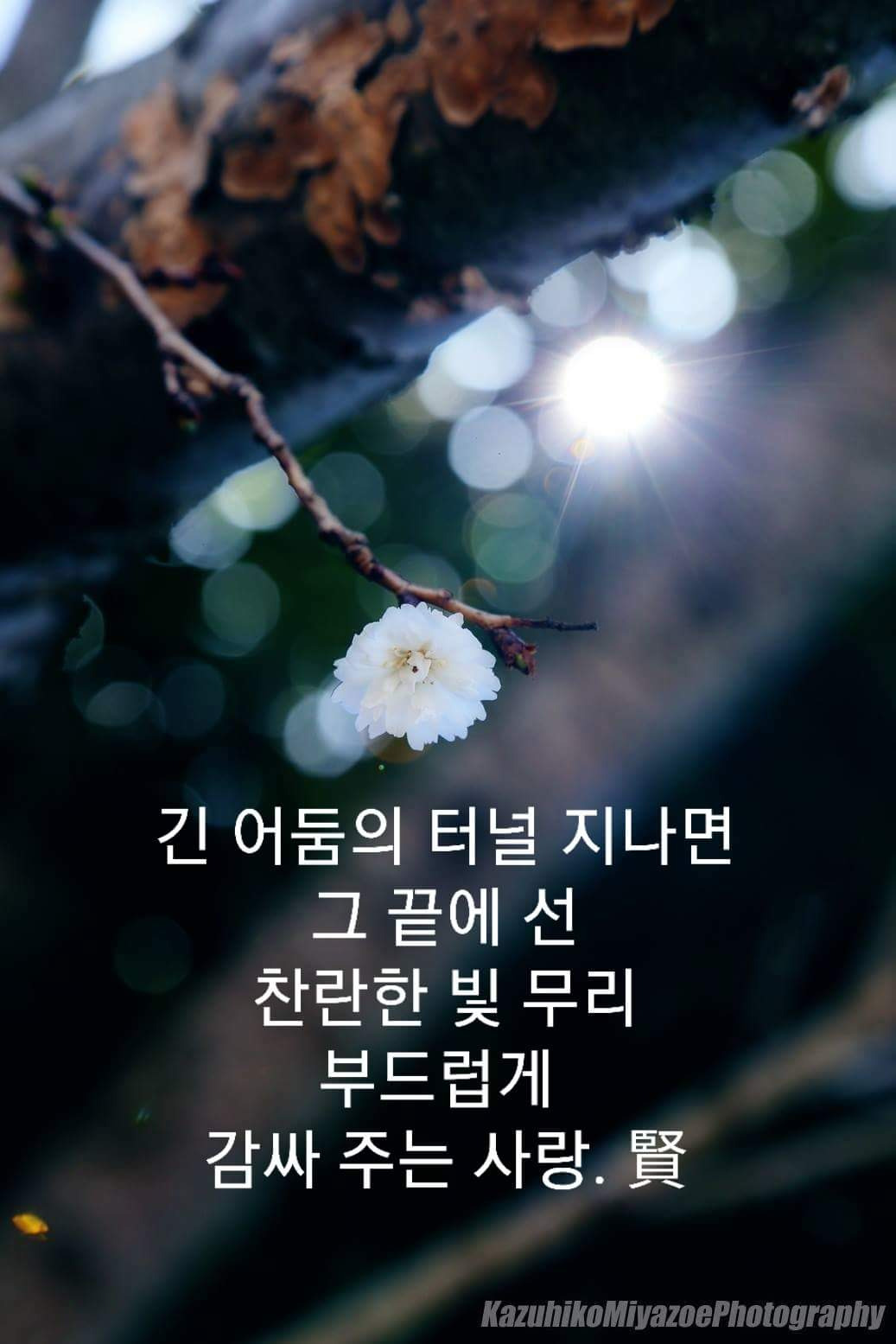 22화 입춘의 안부