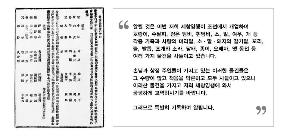 크리에이티브 가득한 신문광고의 세계