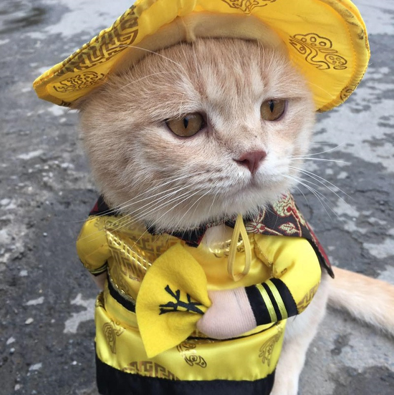 HÃ¬nh áº£nh cÃ³ liÃªn quan