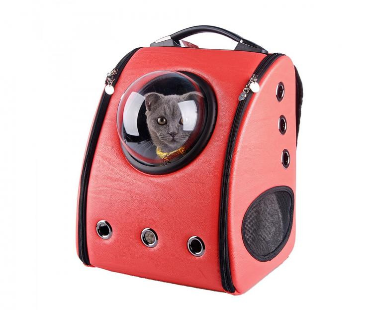 고양이를 위한 탐나는 백팩 유펫(UPet)