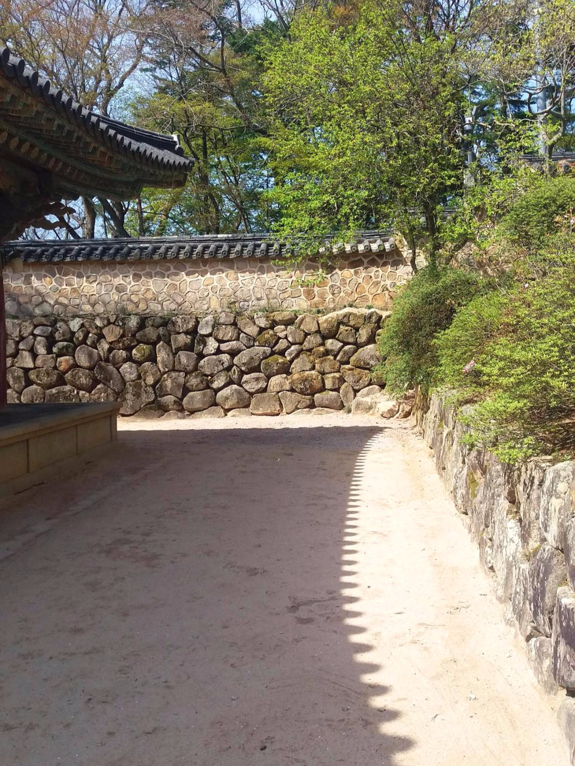 詩벚꽃 정원_나미래 
