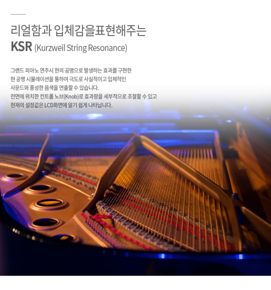 신디사이저 새로움