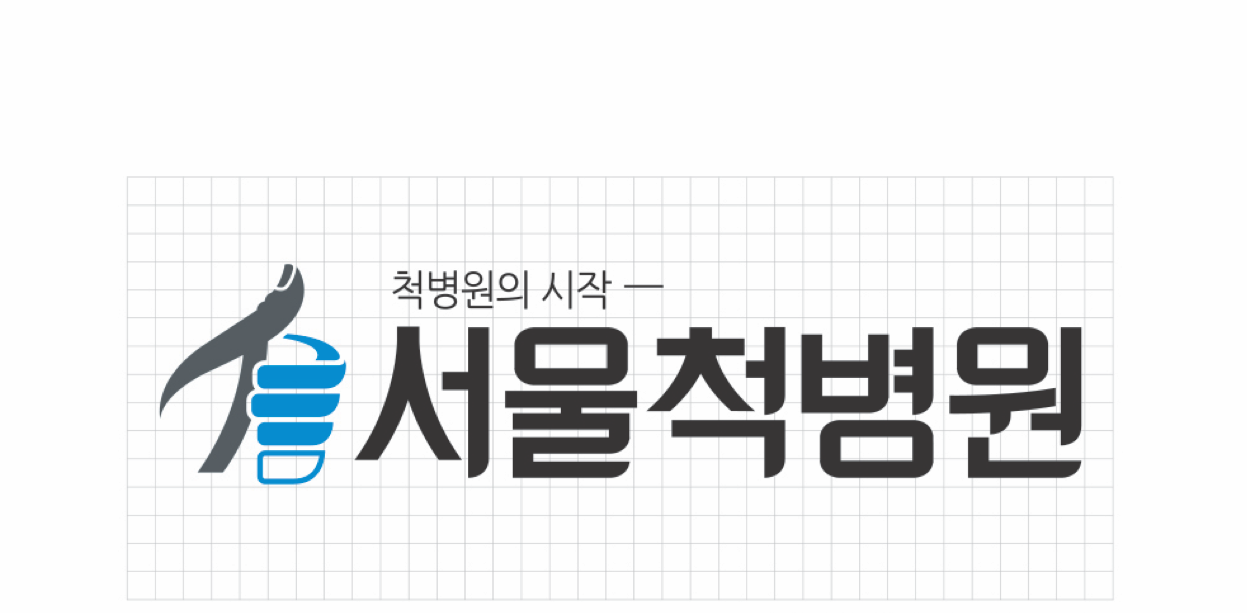 서울척병원 이미지