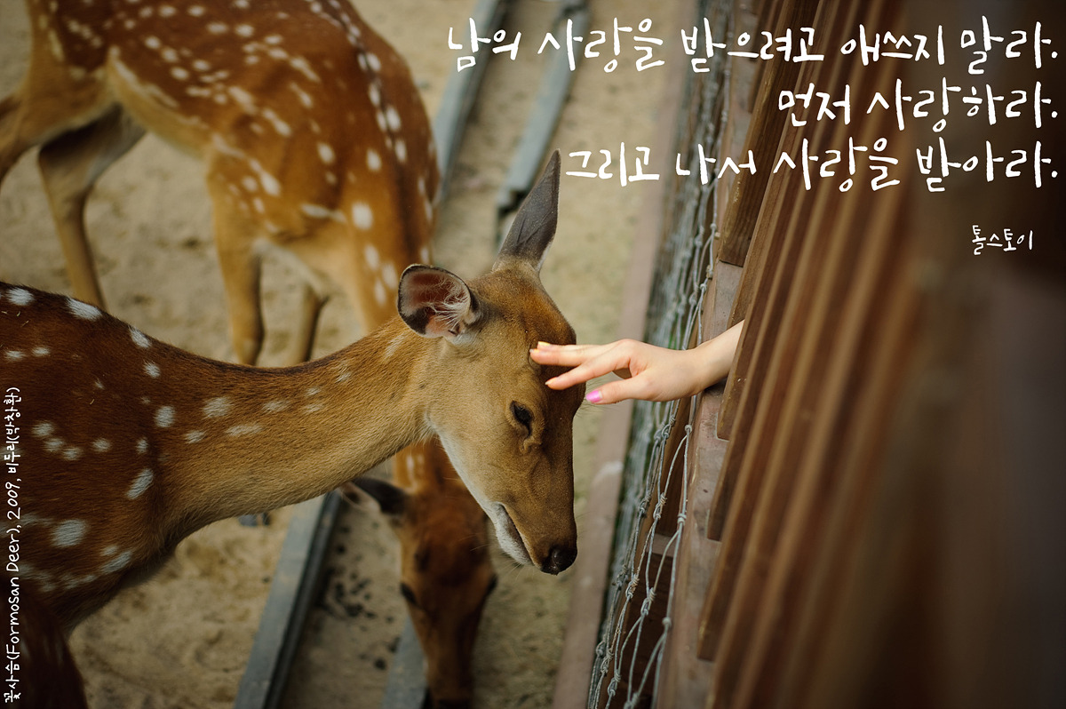 남의 사랑을 받으려고 애쓰지 말라