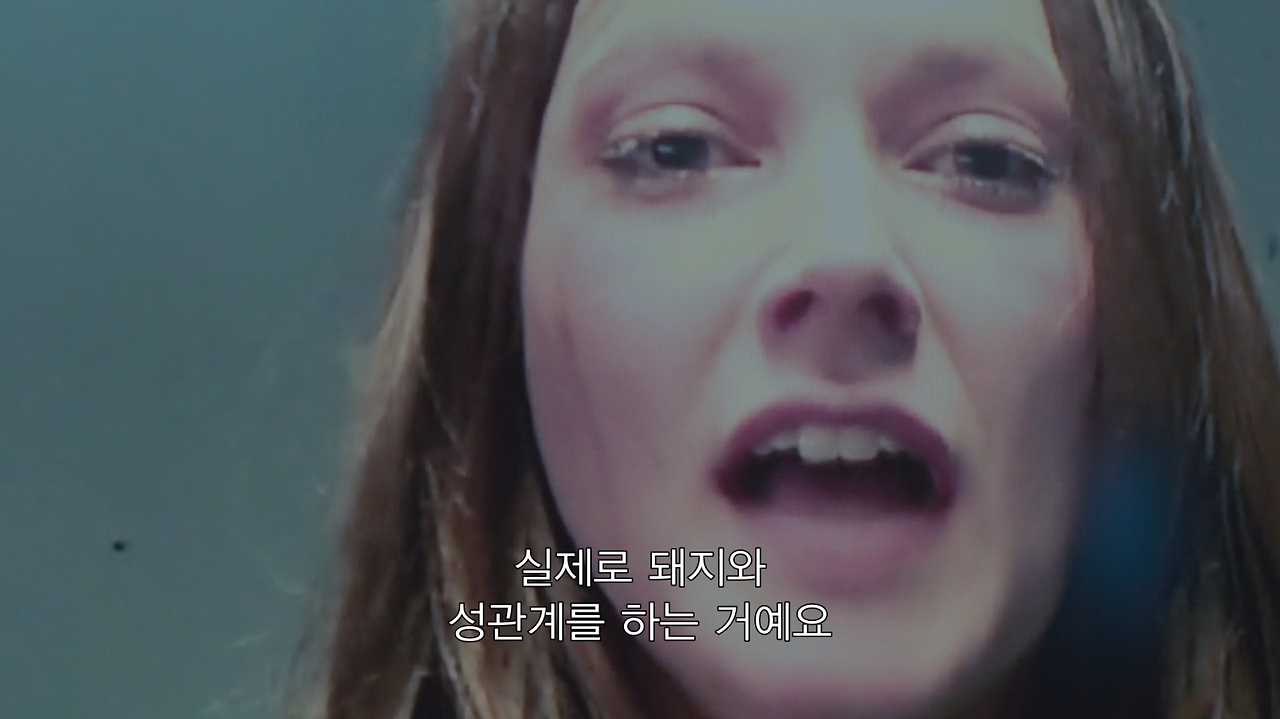 시즌앤썸 이미지