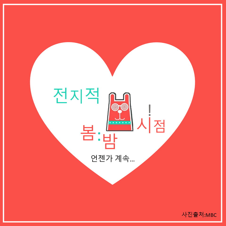 전지적 봄밤 시점