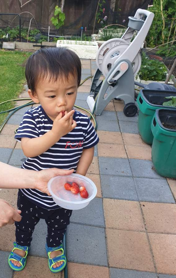 바비큐타임 이미지
