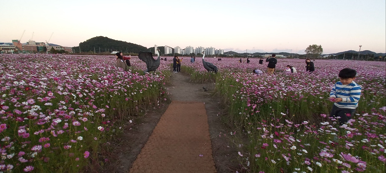 07화 순천 오천 그린 광장 07화 순천  오천  그린  광장