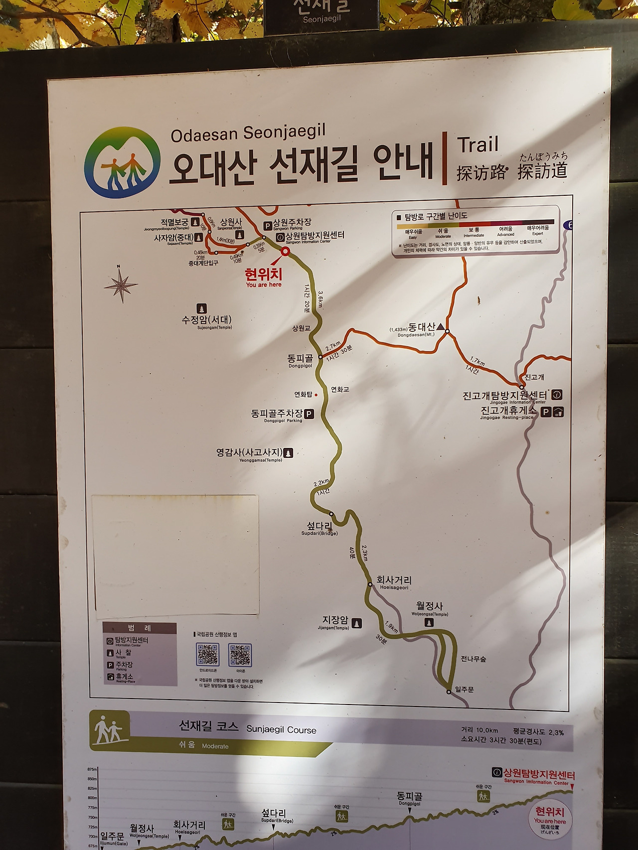 오대산 가을 단풍의 절정, 선재길 상원에서 월정사까지