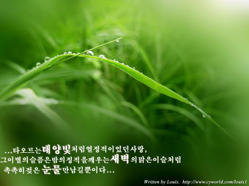 새벽의 맑은 이슬처럼