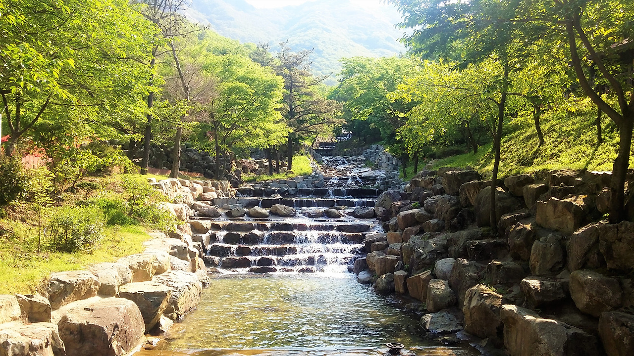 영암호, 가학산 자연휴양림에서 지금을 찾다 영암호, 가학산 자연휴양림에서  지금을 찾다