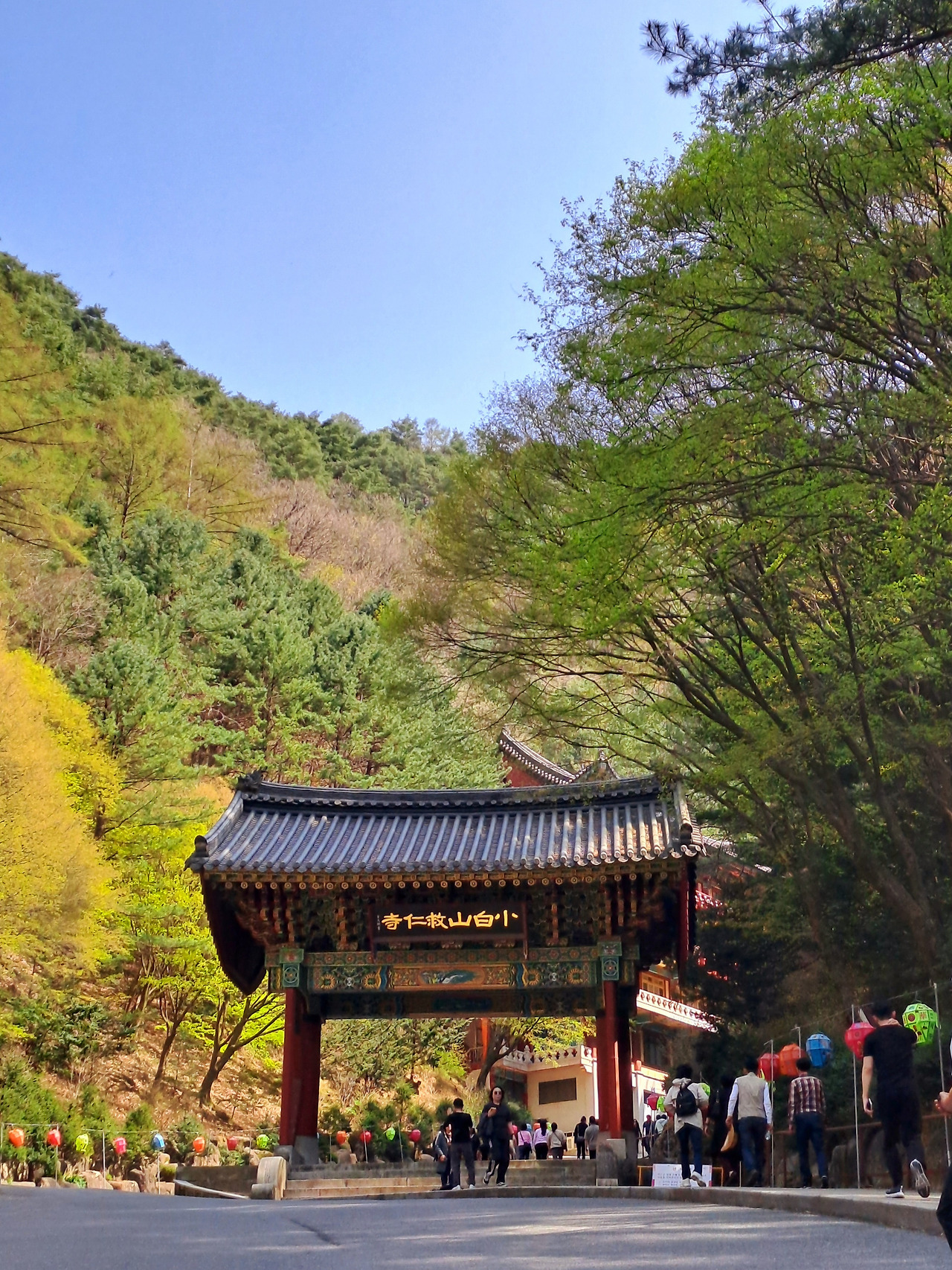 단양 엿보기