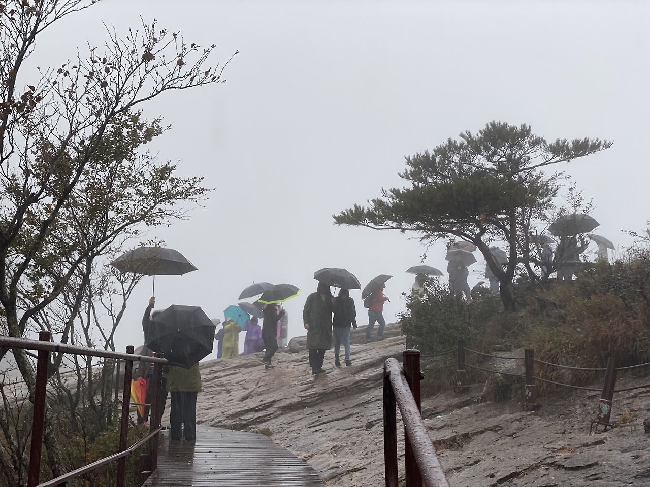 국과반찬 이미지