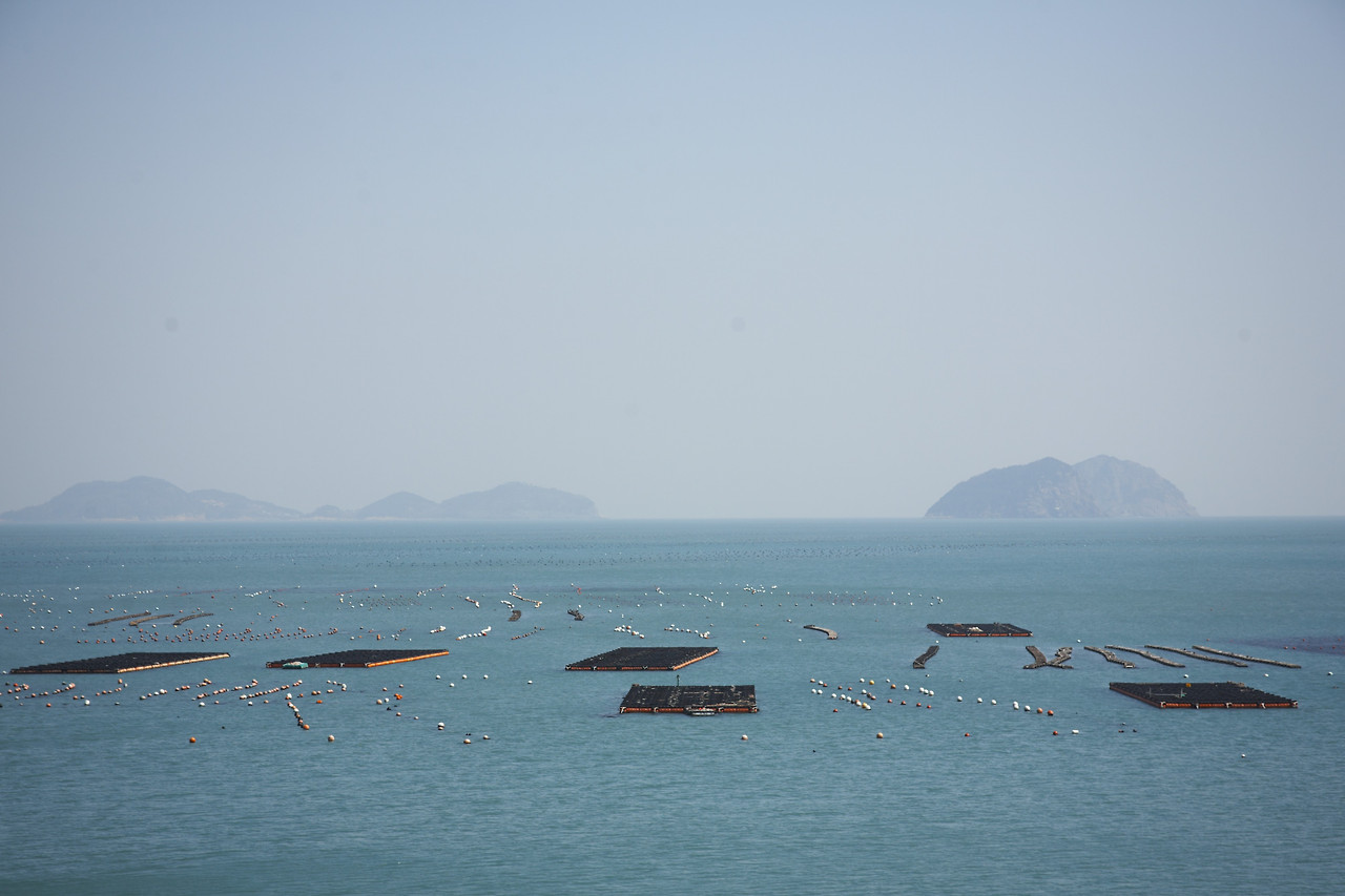 11화 서둘러, 봄