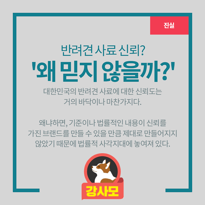 반려견 사료의 진실? 동물병원에서 왜 추천했을까?
