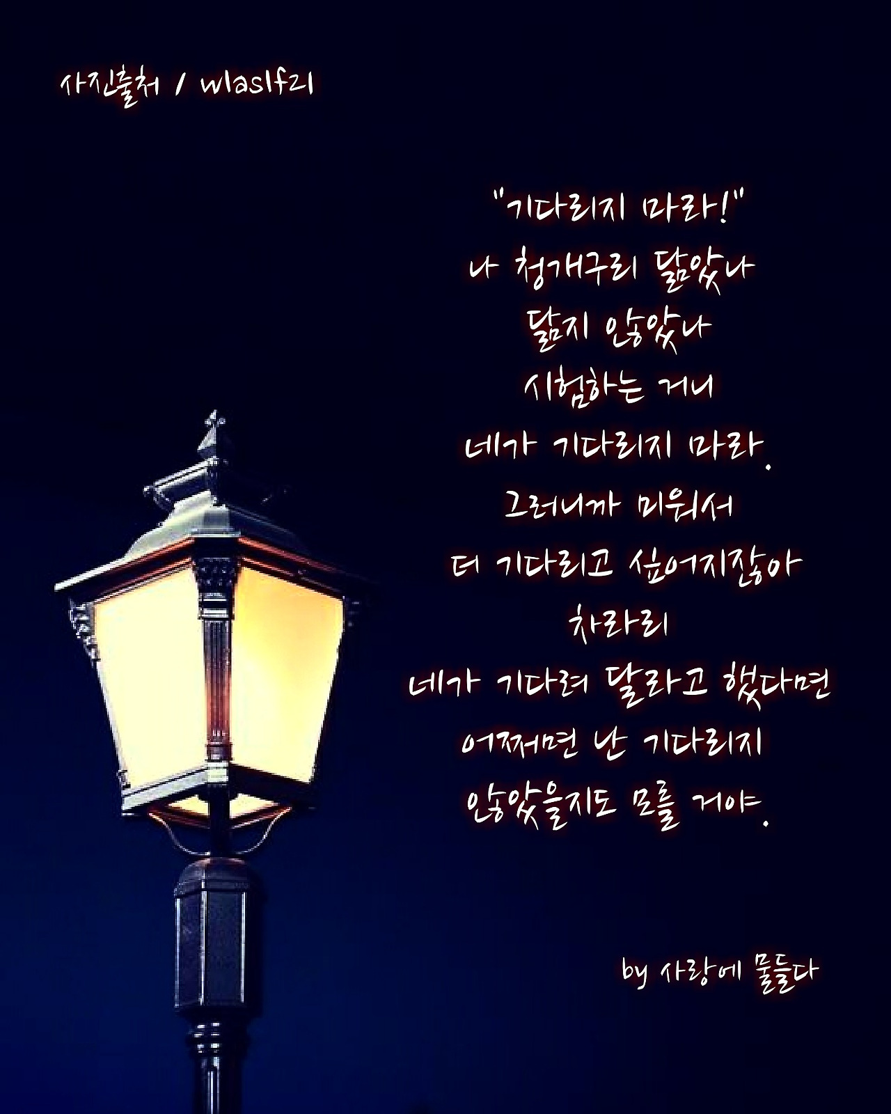 청개구리 닮았어