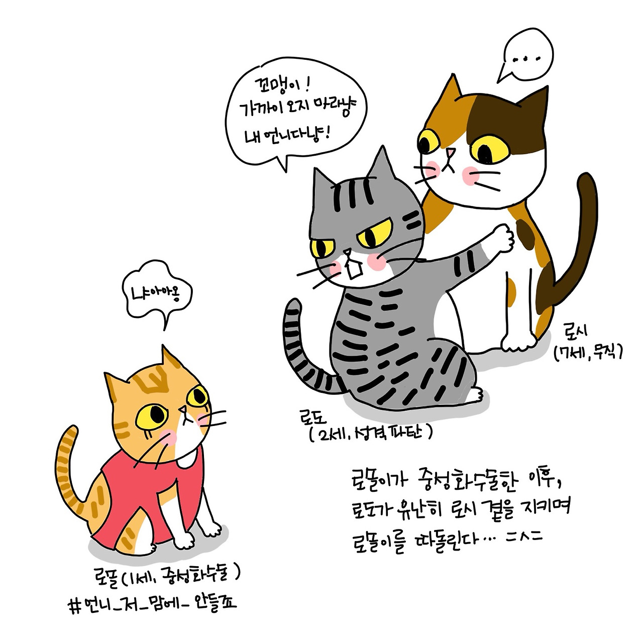 막내 고양이의 빨간옷