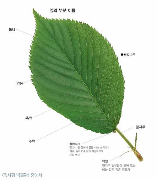 타인을 이해하기